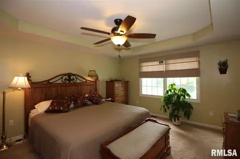 2304 W Marks Pl, Dunlap, IL 61525 photo 11