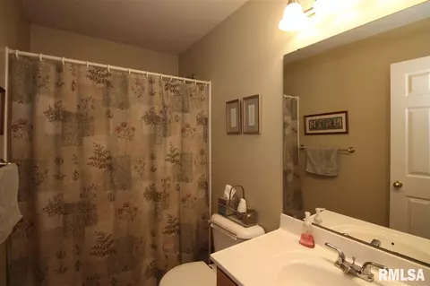 2304 W Marks Pl, Dunlap, IL 61525 photo 15