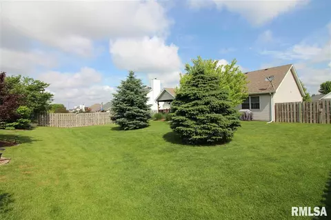 2304 W Marks Pl, Dunlap, IL 61525 photo 31