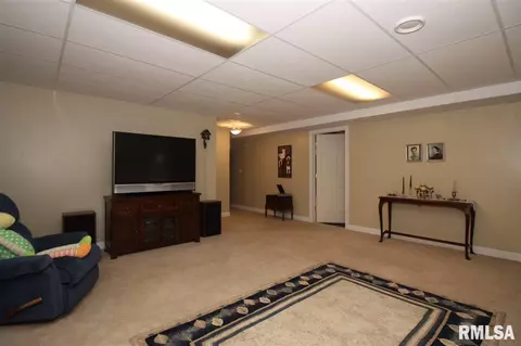 2304 W Marks Pl, Dunlap, IL 61525 photo 23