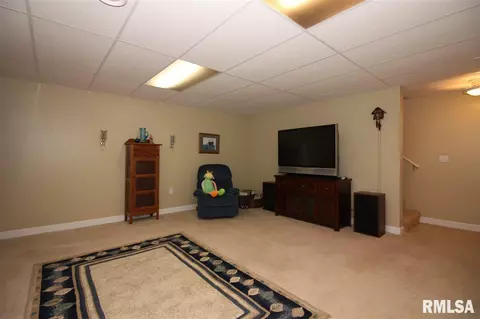 2304 W Marks Pl, Dunlap, IL 61525 photo 22