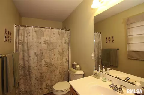 2304 W Marks Pl, Dunlap, IL 61525 photo 14