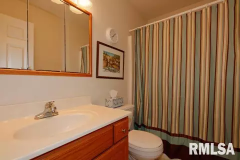 15771 King, Danvers, IL 61732 photo 32