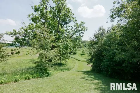15771 King, Danvers, IL 61732 photo 13