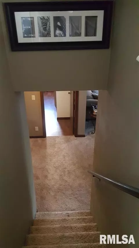 412 Crestview Dr, Metamora, IL 61548 photo 23