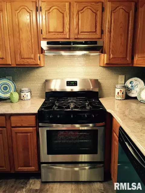 9919 W Guinivere Dr, Mapleton, IL 61547 photo 8