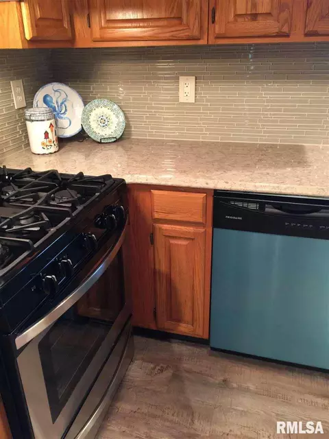 9919 W Guinivere Dr, Mapleton, IL 61547 photo 9