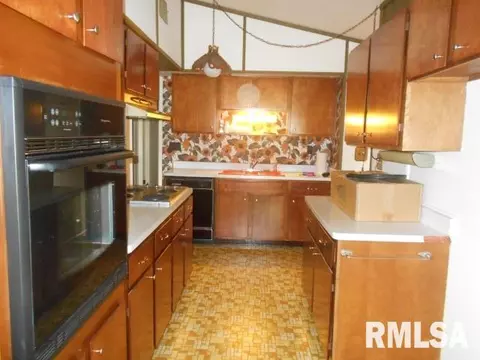 15544 E Geronimo Dr, Cuba, IL 61427 photo 17