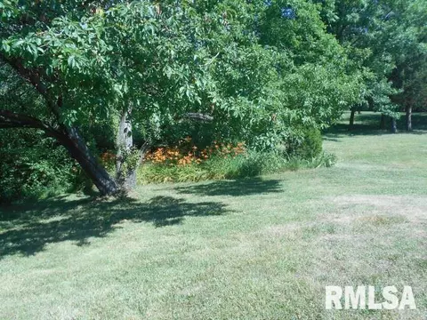 15544 E Geronimo Dr, Cuba, IL 61427 photo 11