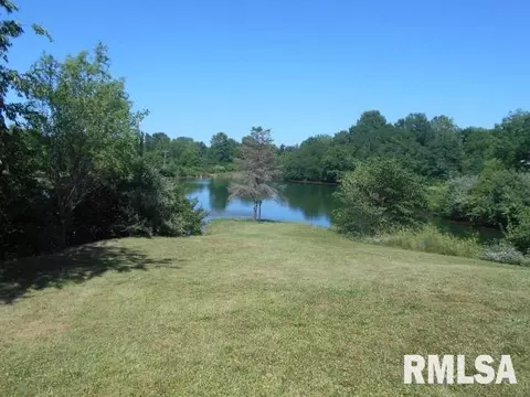 15544 E Geronimo Dr, Cuba, IL 61427 photo 8