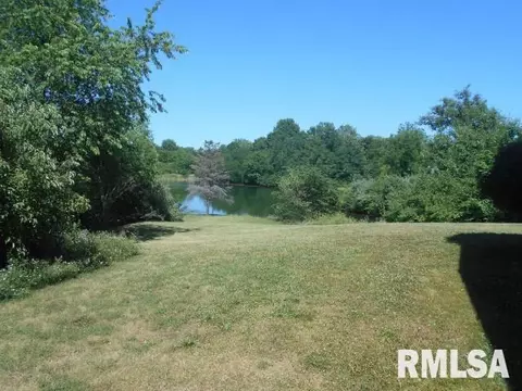 15544 E Geronimo Dr, Cuba, IL 61427 photo 7