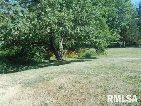 15544 E Geronimo Dr, Cuba, IL 61427 photo 10