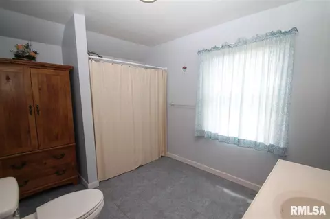 1813 County Road 2400 E, Benson, IL 61516 photo 25