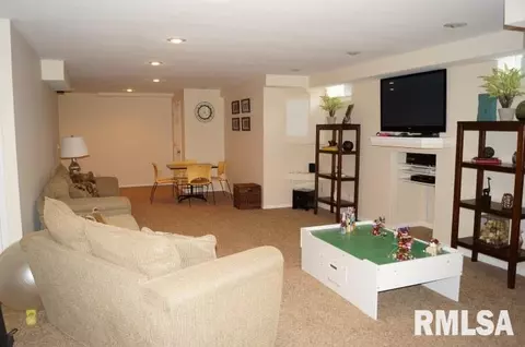 280 W Forrest, Germantown Hills, IL 61548 photo 26