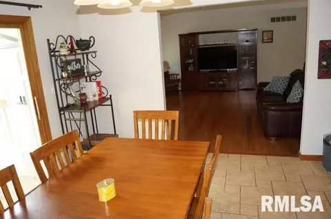 280 W Forrest, Germantown Hills, IL 61548 photo 9