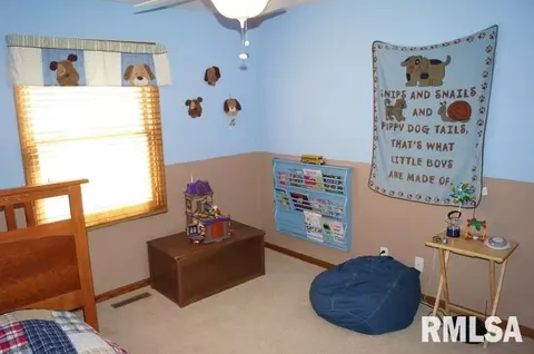 280 W Forrest, Germantown Hills, IL 61548 photo 22