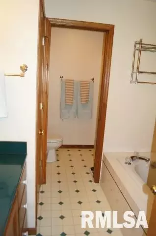 280 W Forrest, Germantown Hills, IL 61548 photo 17