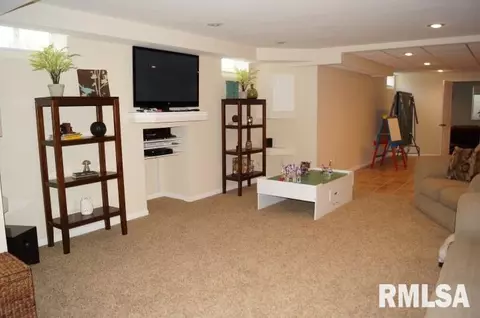280 W Forrest, Germantown Hills, IL 61548 photo 25