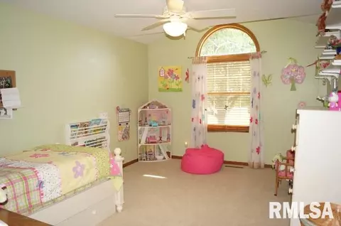 280 W Forrest, Germantown Hills, IL 61548 photo 19