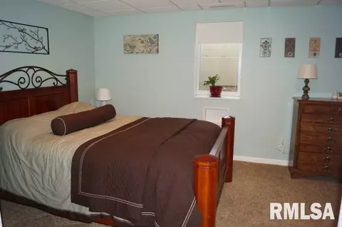 280 W Forrest, Germantown Hills, IL 61548 photo 28