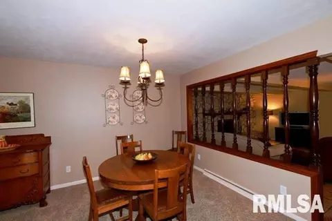1250 Sunview Dr, Canton, IL 61520 photo 10