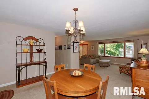1250 Sunview Dr, Canton, IL 61520 photo 12