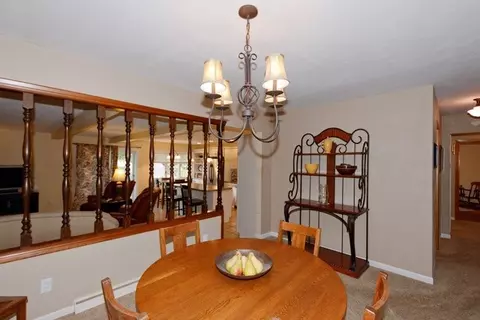 1250 Sunview Dr, Canton, IL 61520 photo 13