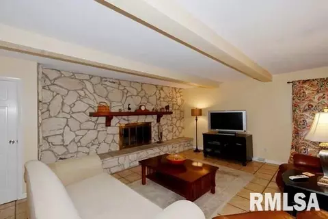 1250 Sunview Dr, Canton, IL 61520 photo 19