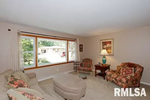 1250 Sunview Dr, Canton, IL 61520 photo 14