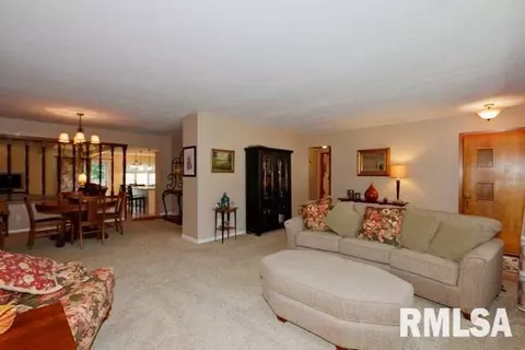 1250 Sunview Dr, Canton, IL 61520 photo 16