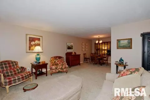 1250 Sunview Dr, Canton, IL 61520 photo 17