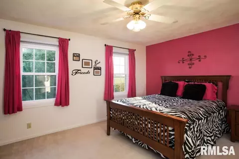 8320 N Ford Rd, Edwards, IL 61528 photo 29
