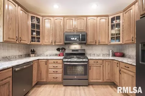 6016 W Deer Trace Ct, Dunlap, IL 61525 photo 16