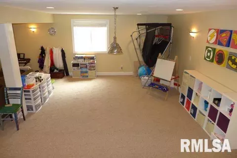 712 S Prairieview Dr, Dunlap, IL 61525 photo 24