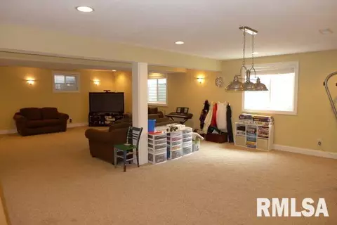 712 S Prairieview Dr, Dunlap, IL 61525 photo 26