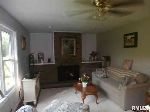 309 E Pearson St, Eureka, IL 61530 photo 11