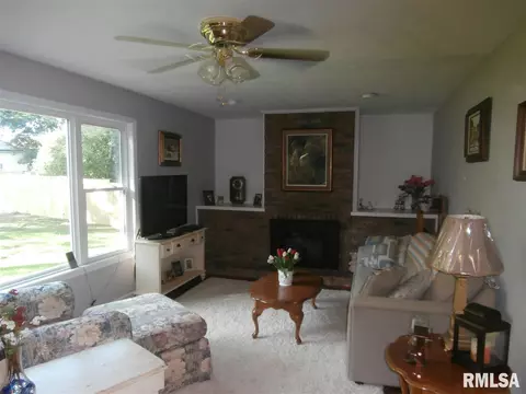 309 E Pearson St, Eureka, IL 61530 photo 10