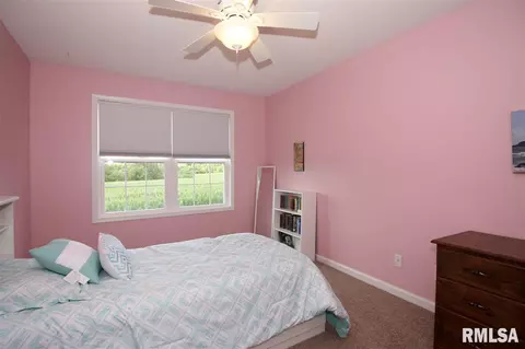2107 W Liams Way, Dunlap, IL 61525 photo 22