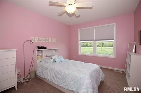 2107 W Liams Way, Dunlap, IL 61525 photo 23