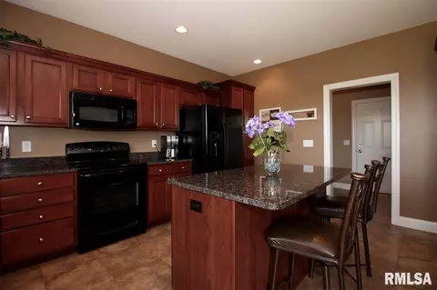 2107 W Liams Way, Dunlap, IL 61525 photo 11