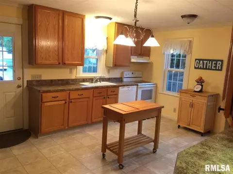 313 E Adams St, Morton, IL 61550 photo 7