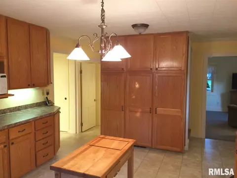 313 E Adams St, Morton, IL 61550 photo 6