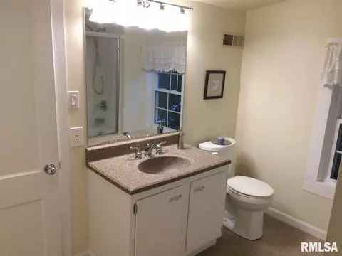 313 E Adams St, Morton, IL 61550 photo 19