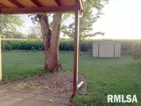 509 S 1st, Cuba, IL 61427 photo 32
