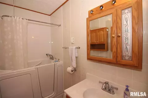 206 E 7th St, Glasford, IL 61533 photo 11
