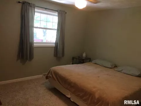 109 E Wiley Rd, Dunlap, IL 61525 photo 13