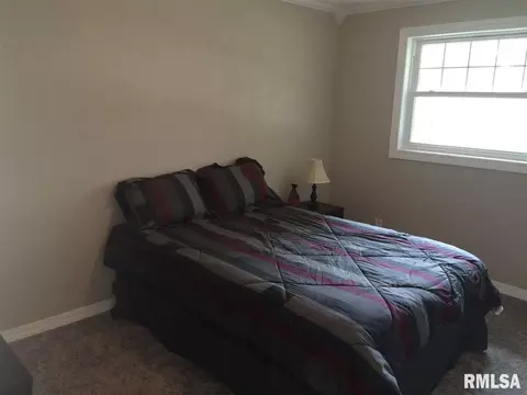 109 E Wiley Rd, Dunlap, IL 61525 photo 12