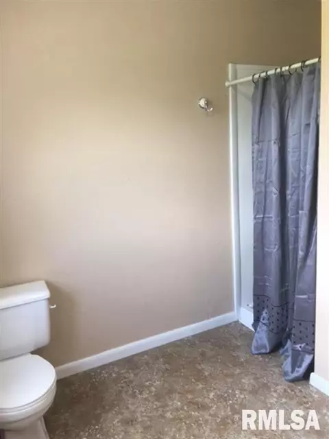 13127 Walnut St, Manito, IL 61546 photo 22