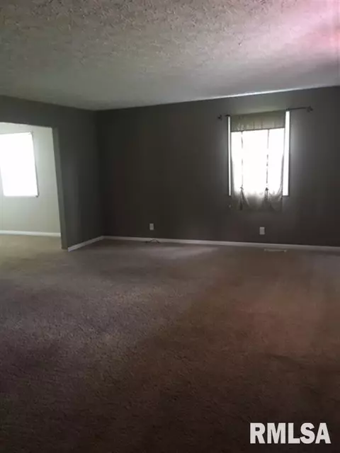 13127 Walnut St, Manito, IL 61546 photo 21