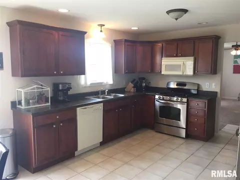1306 Saddle Brk, Metamora, IL 61548 photo 7
